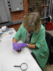 volunteer wearing purple gloves is cleaning an object concealed by her hands. on the surface nearby lies a magnifying glass