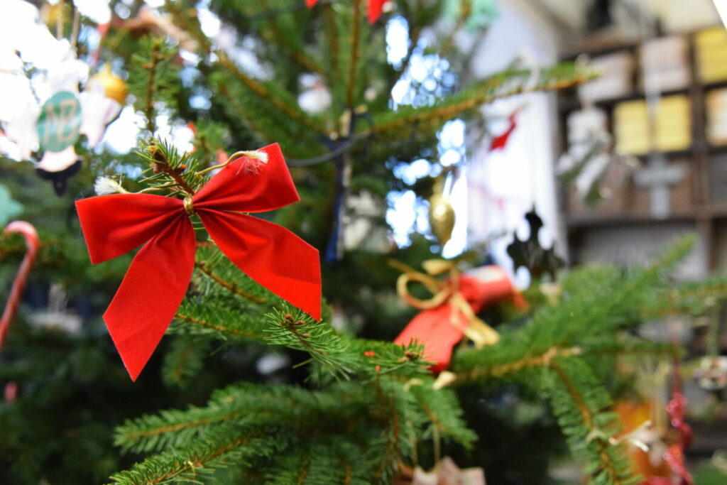 Close up of christmas tree with decorations