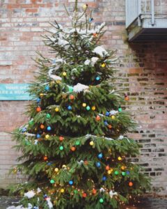 christmas tree in courtyard