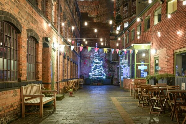 The museum courtyard with the tree lit up in the dark