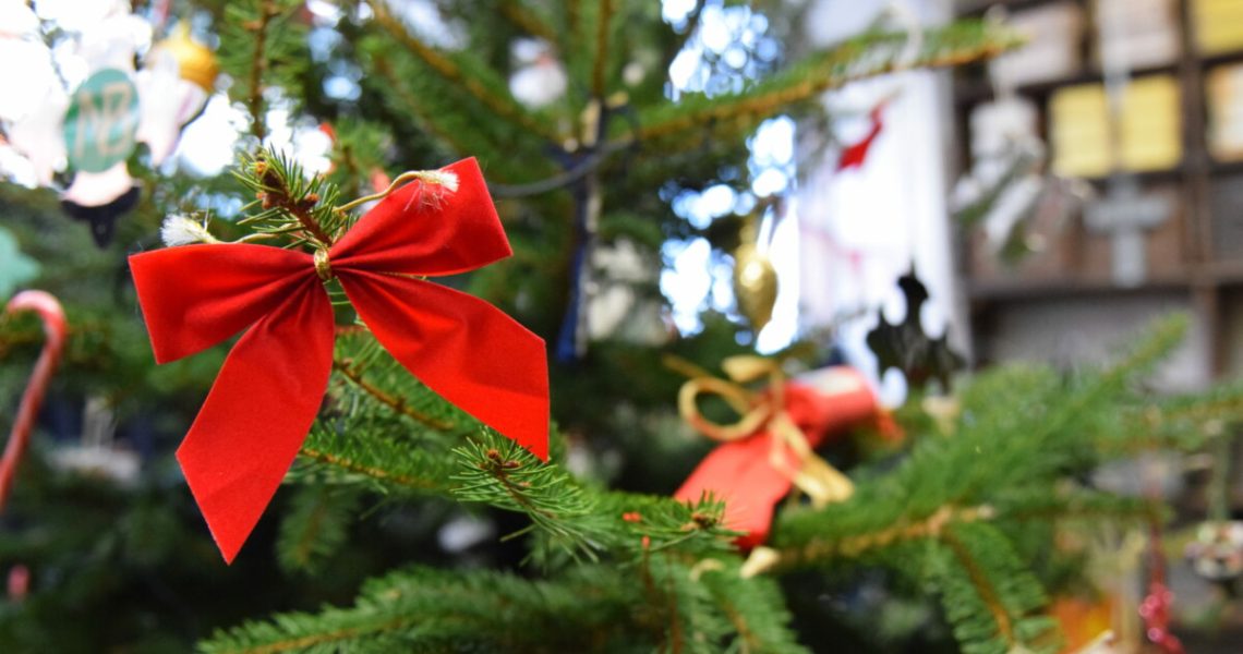 Close up of christmas tree with decorations